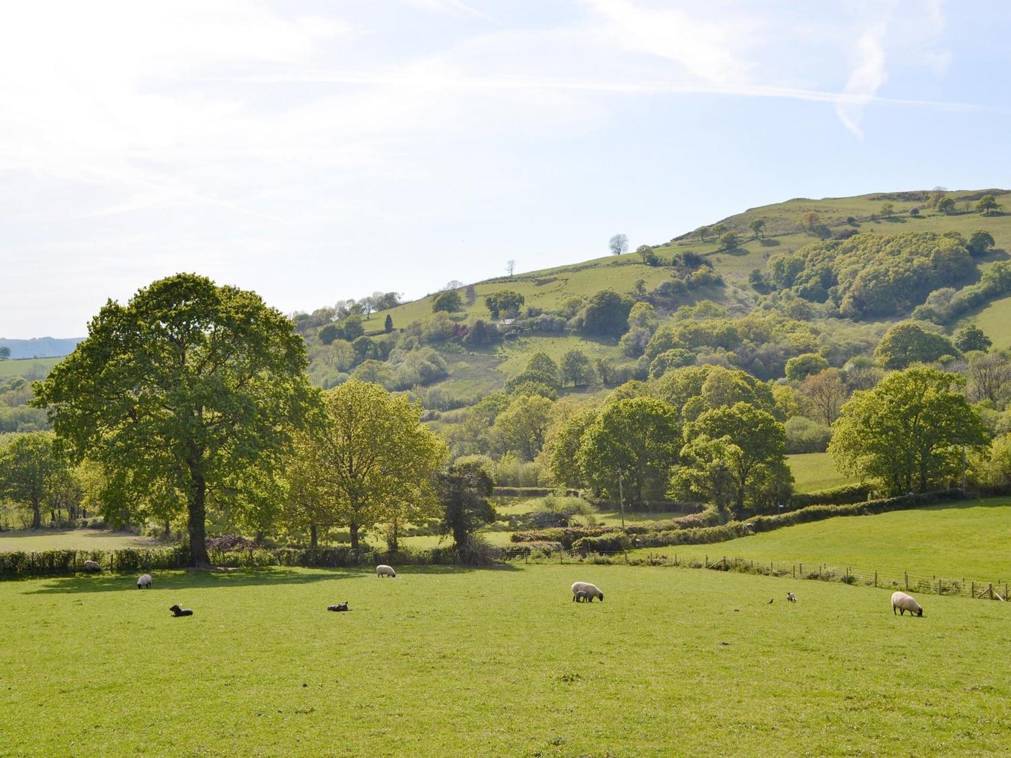 Maes Y Bryn Farmhouse Llanwrda Kültér fotó